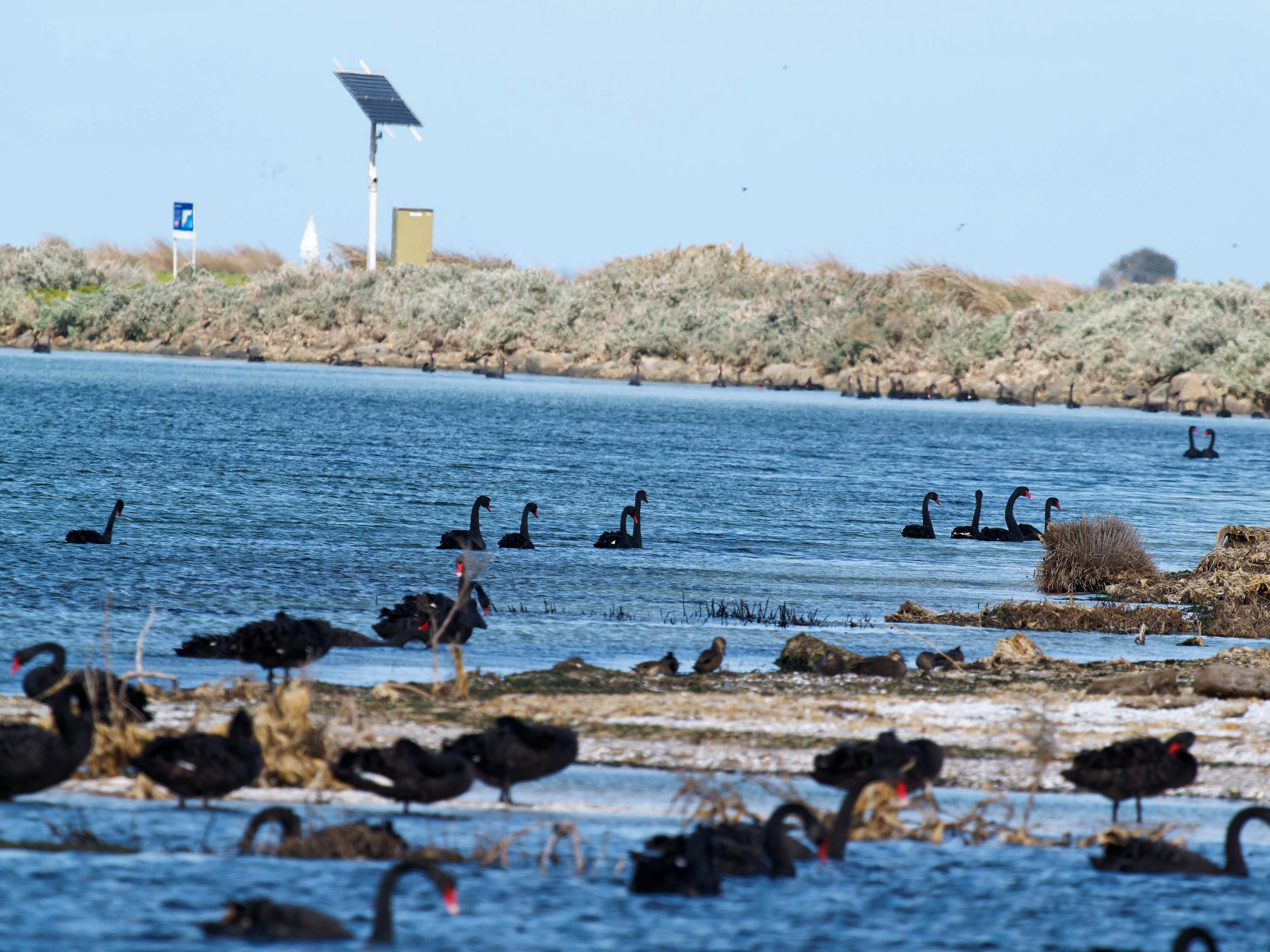 https://lemis.nyc3.digitaloceanspaces.com/grog/Photos/20250917/big/Birding-199.jpeg