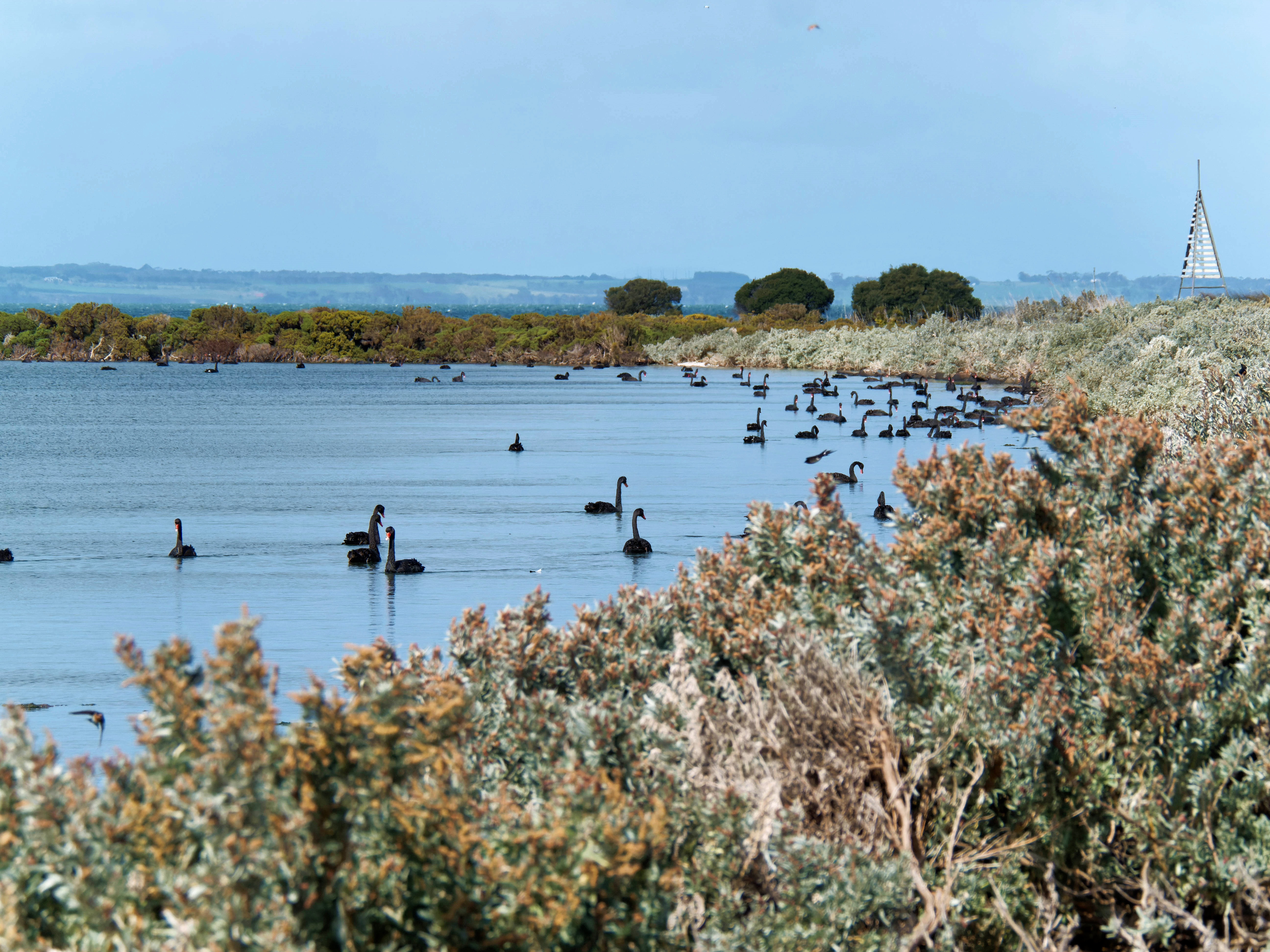 https://lemis.nyc3.digitaloceanspaces.com/grog/Photos/20250917/big/Birding-200.jpeg