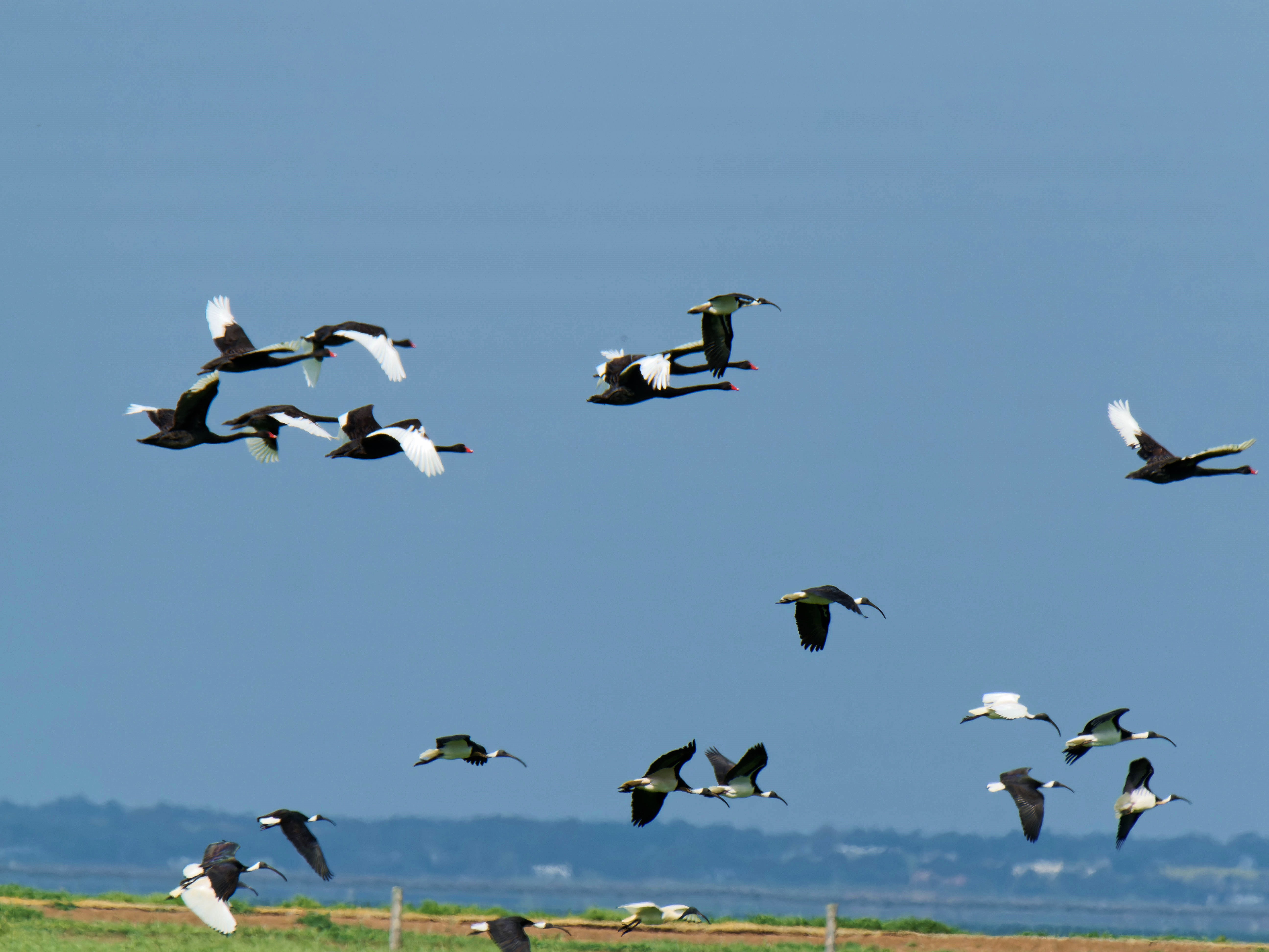 https://lemis.nyc3.digitaloceanspaces.com/grog/Photos/20250917/big/Birding-209.jpeg