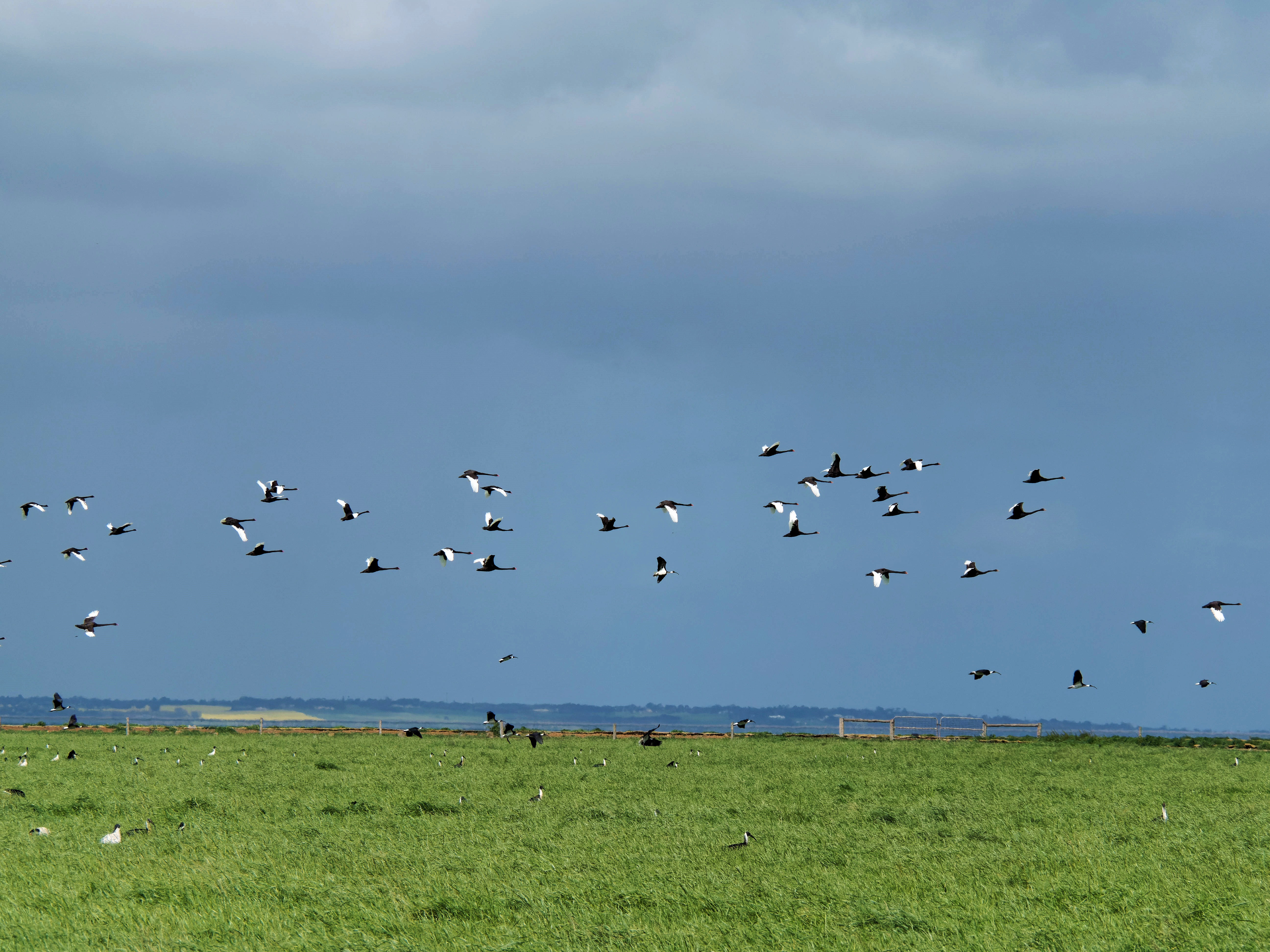 https://lemis.nyc3.digitaloceanspaces.com/grog/Photos/20250917/big/Birding-211.jpeg