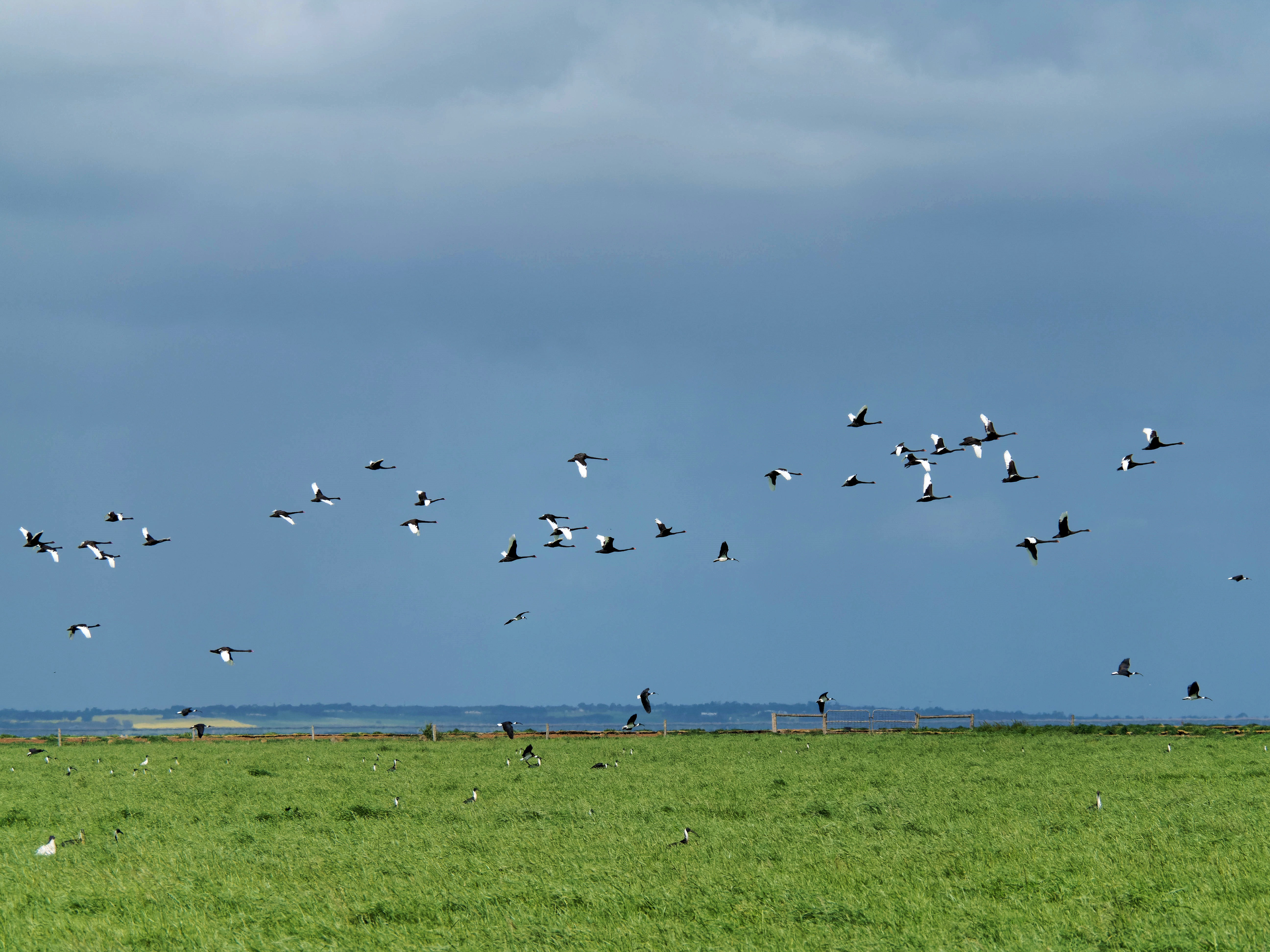https://lemis.nyc3.digitaloceanspaces.com/grog/Photos/20250917/big/Birding-212.jpeg