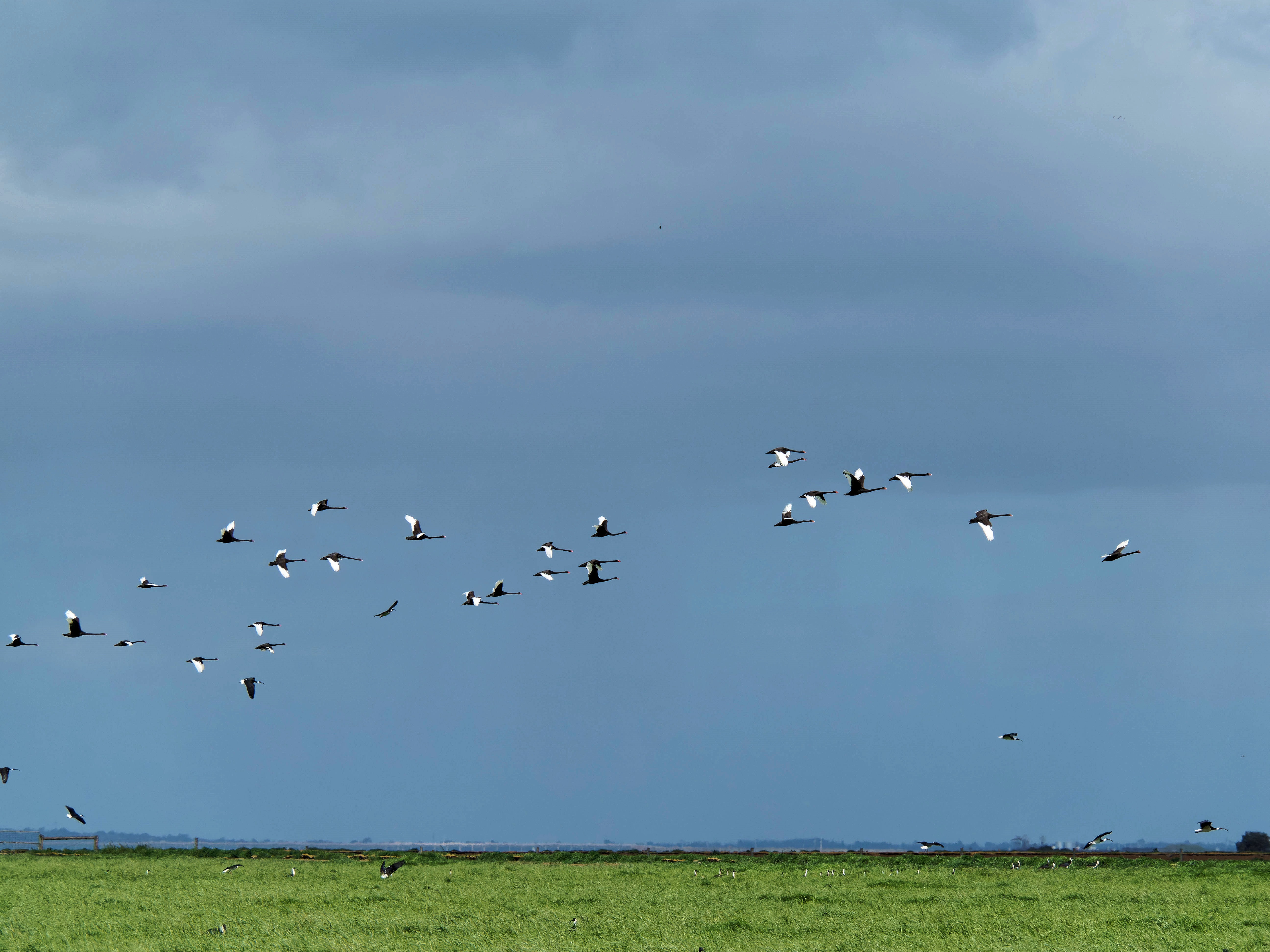 https://lemis.nyc3.digitaloceanspaces.com/grog/Photos/20250917/big/Birding-213.jpeg