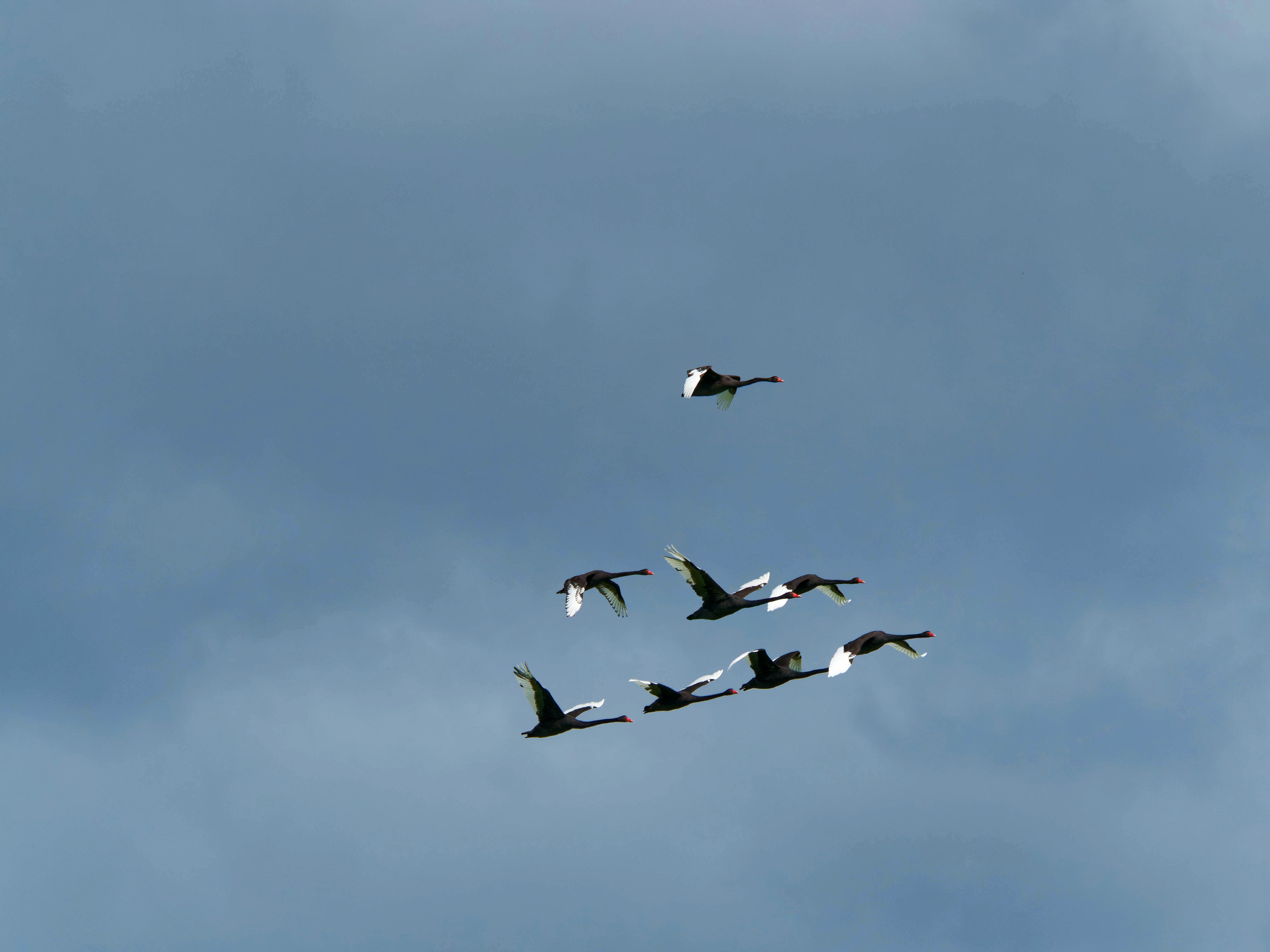 https://lemis.nyc3.digitaloceanspaces.com/grog/Photos/20250917/big/Birding-214.jpeg