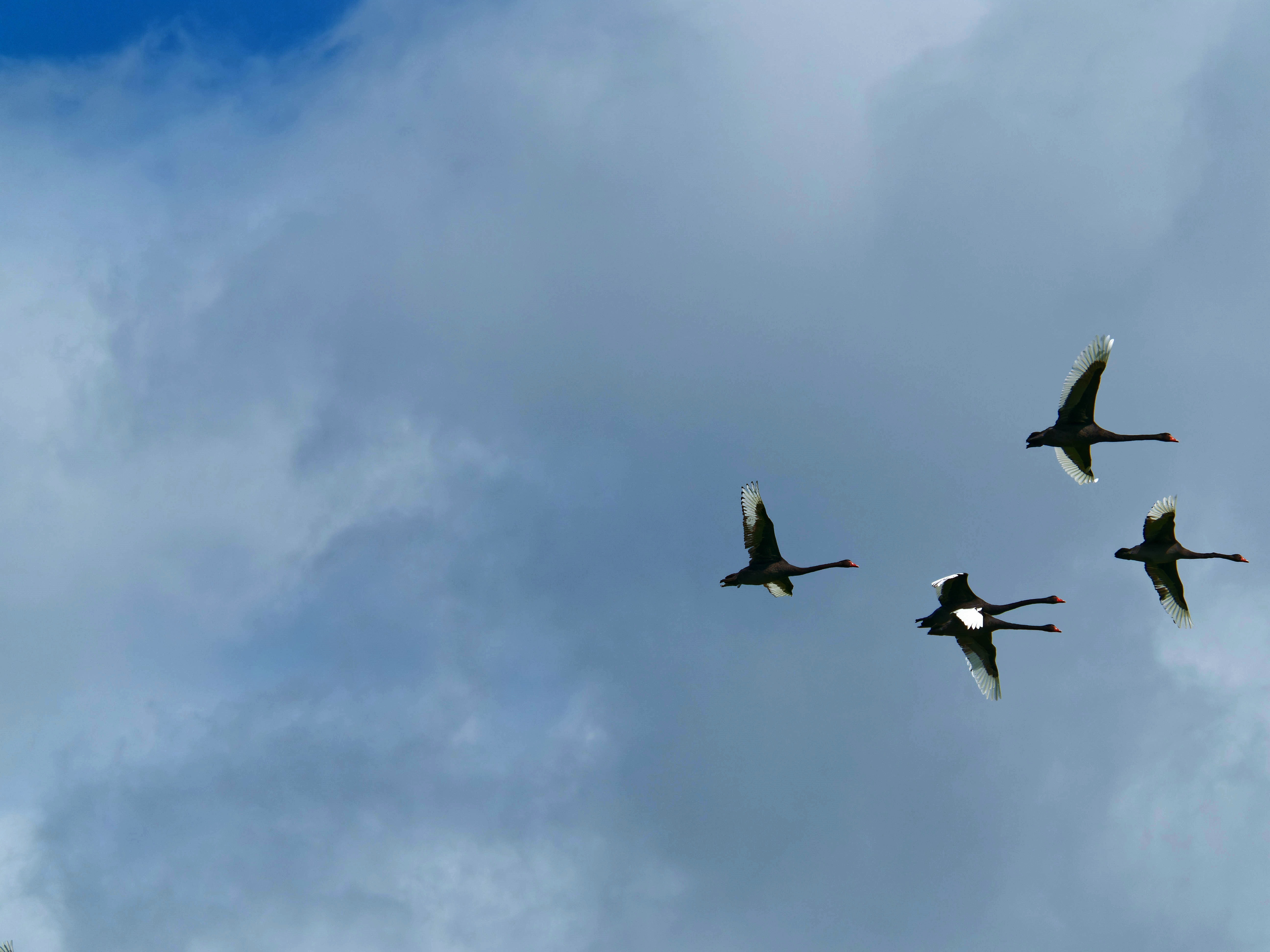 https://lemis.nyc3.digitaloceanspaces.com/grog/Photos/20250917/big/Birding-217.jpeg