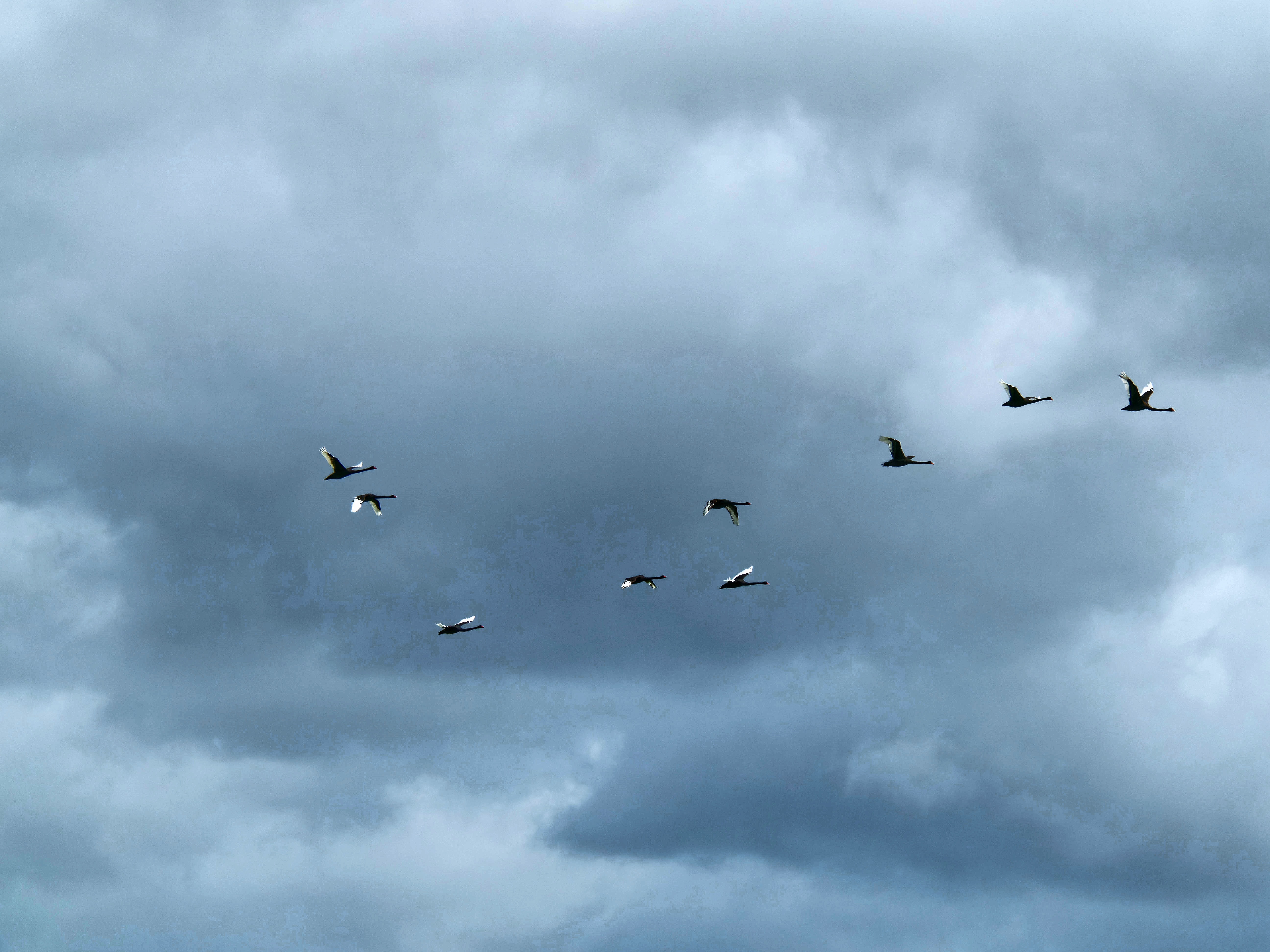 https://lemis.nyc3.digitaloceanspaces.com/grog/Photos/20250917/big/Birding-218.jpeg