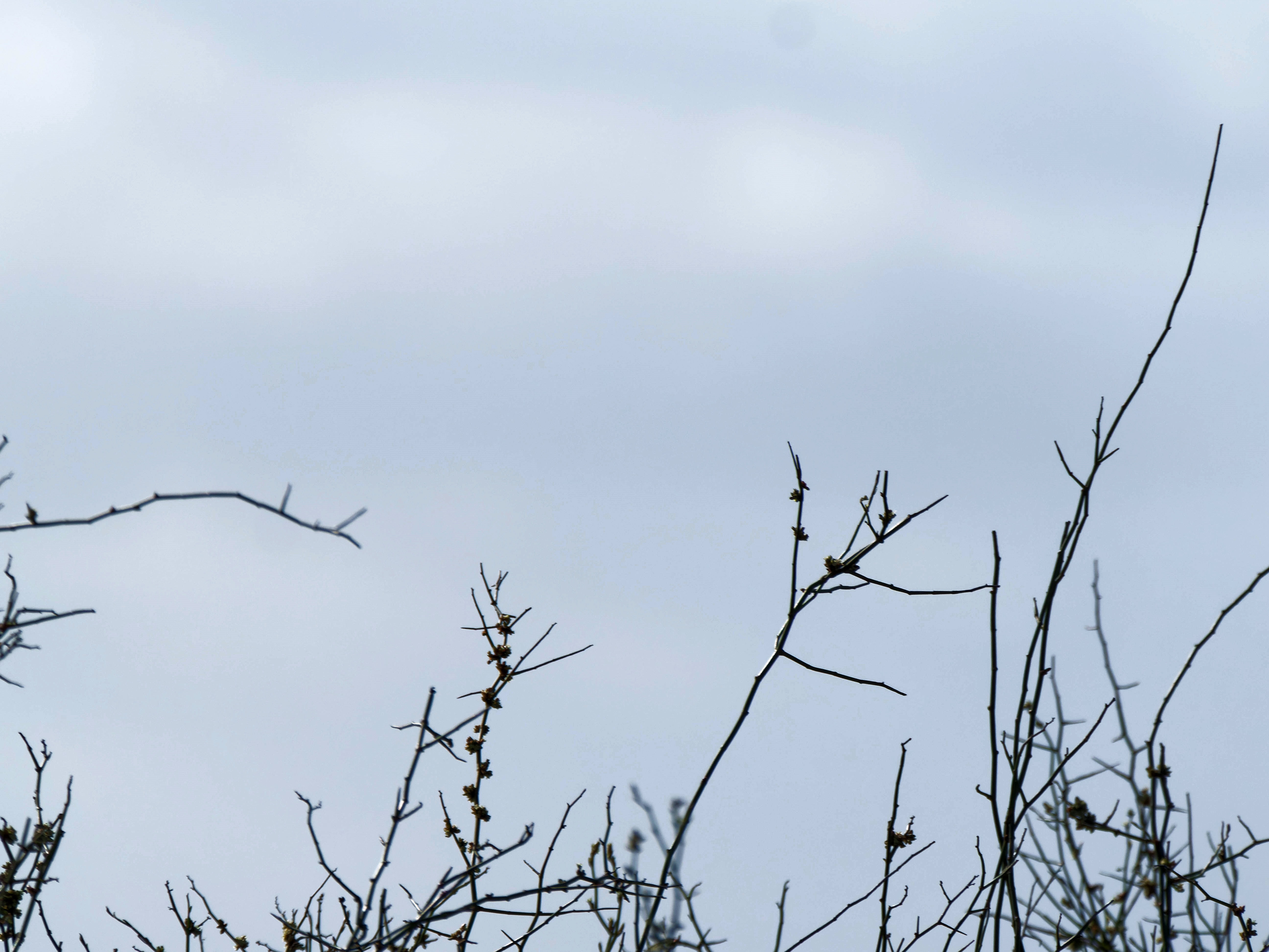 https://lemis.nyc3.digitaloceanspaces.com/grog/Photos/20250917/big/Birding-80.jpeg