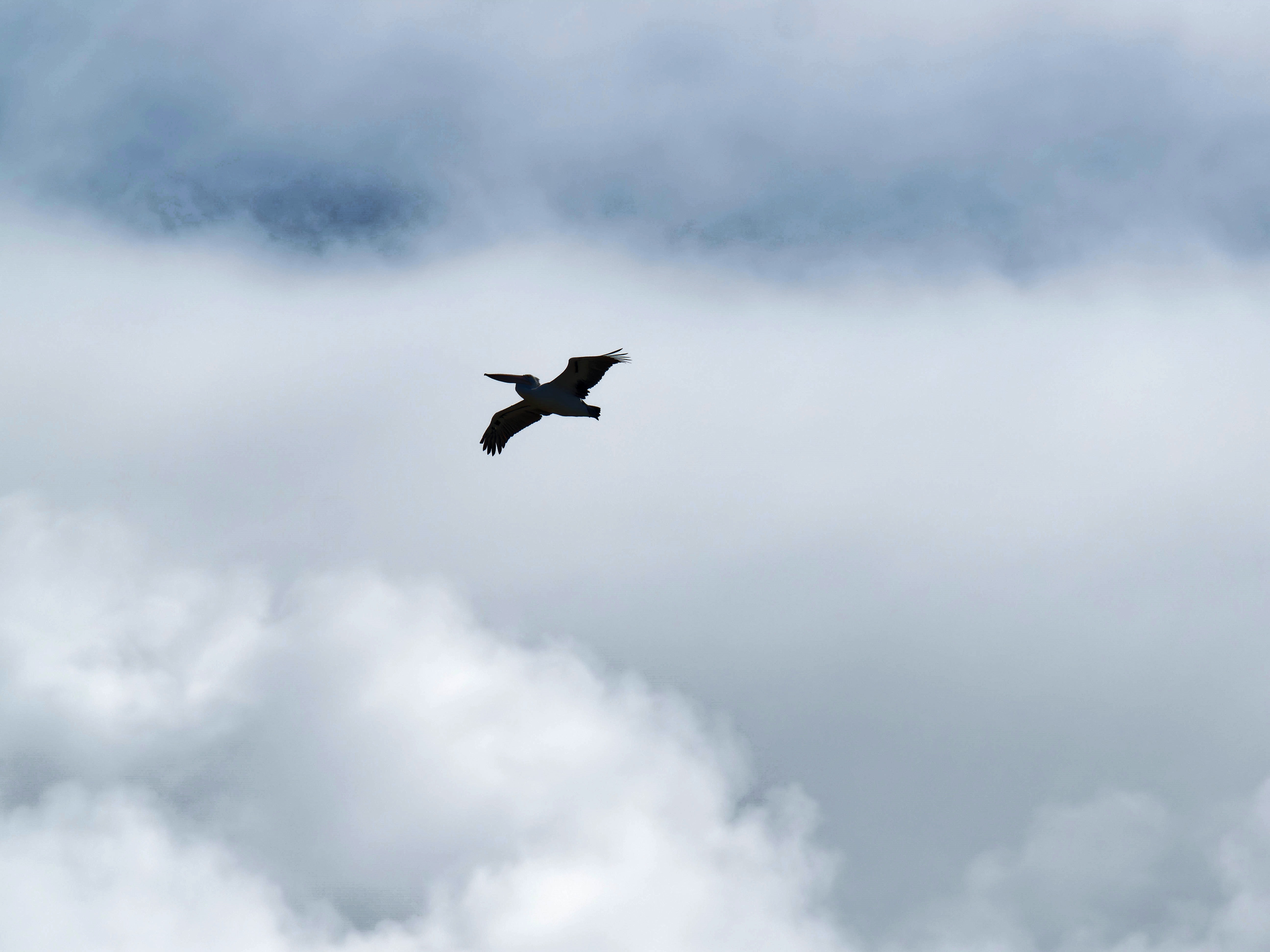 https://lemis.nyc3.digitaloceanspaces.com/grog/Photos/20250917/big/Birding-85.jpeg