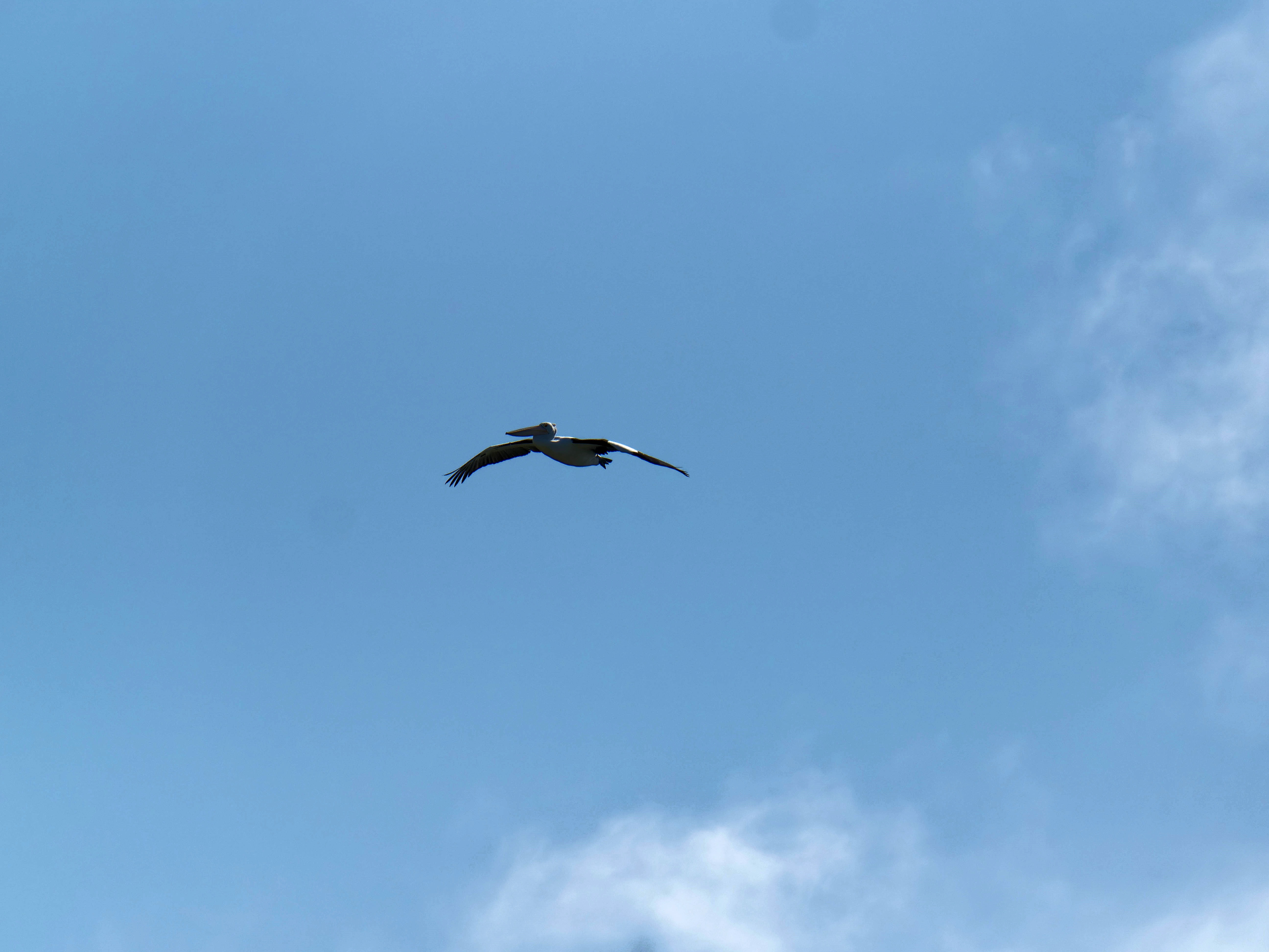 https://lemis.nyc3.digitaloceanspaces.com/grog/Photos/20250917/big/Birding-91.jpeg