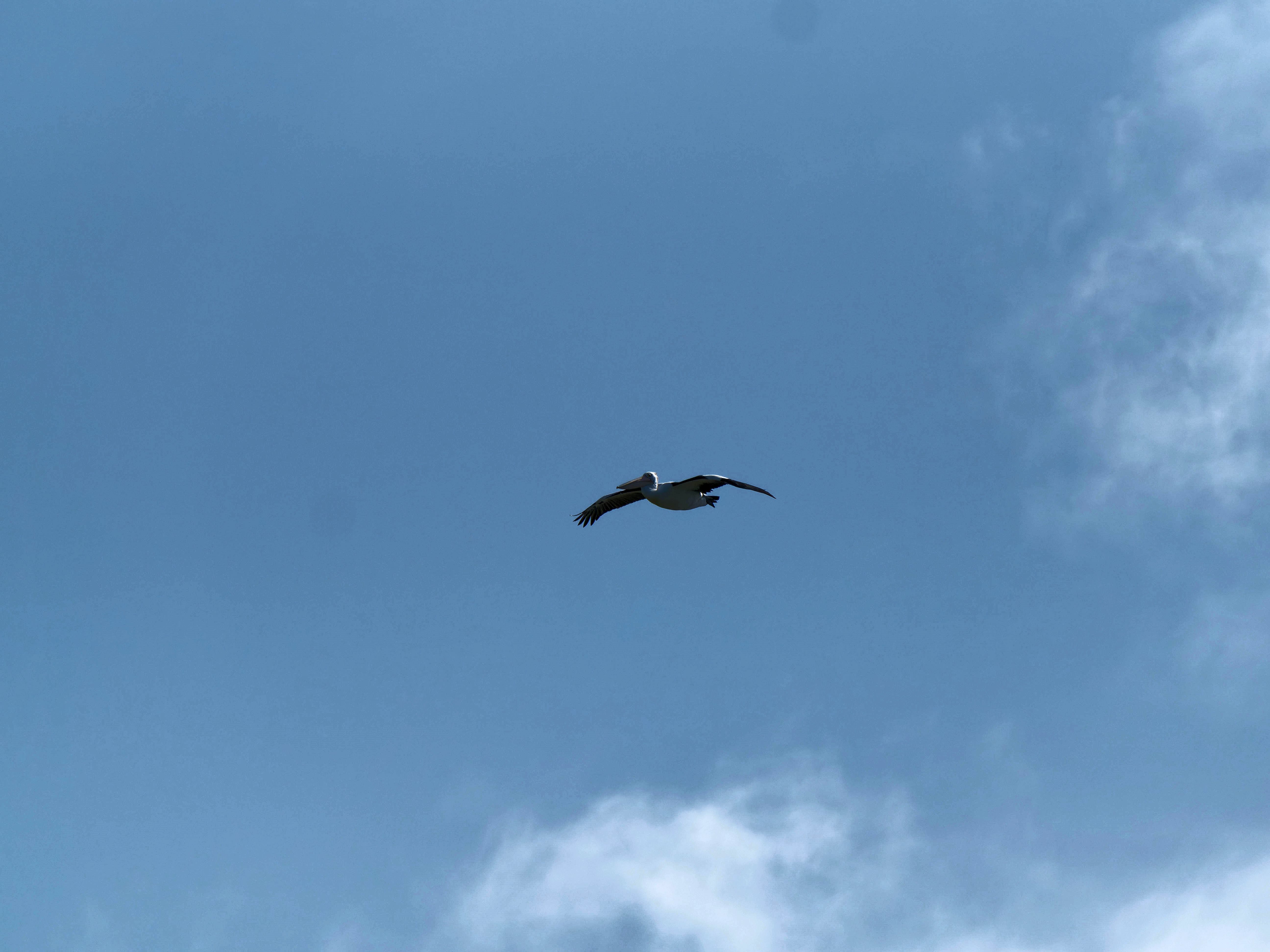 https://lemis.nyc3.digitaloceanspaces.com/grog/Photos/20250917/big/Birding-92.jpeg