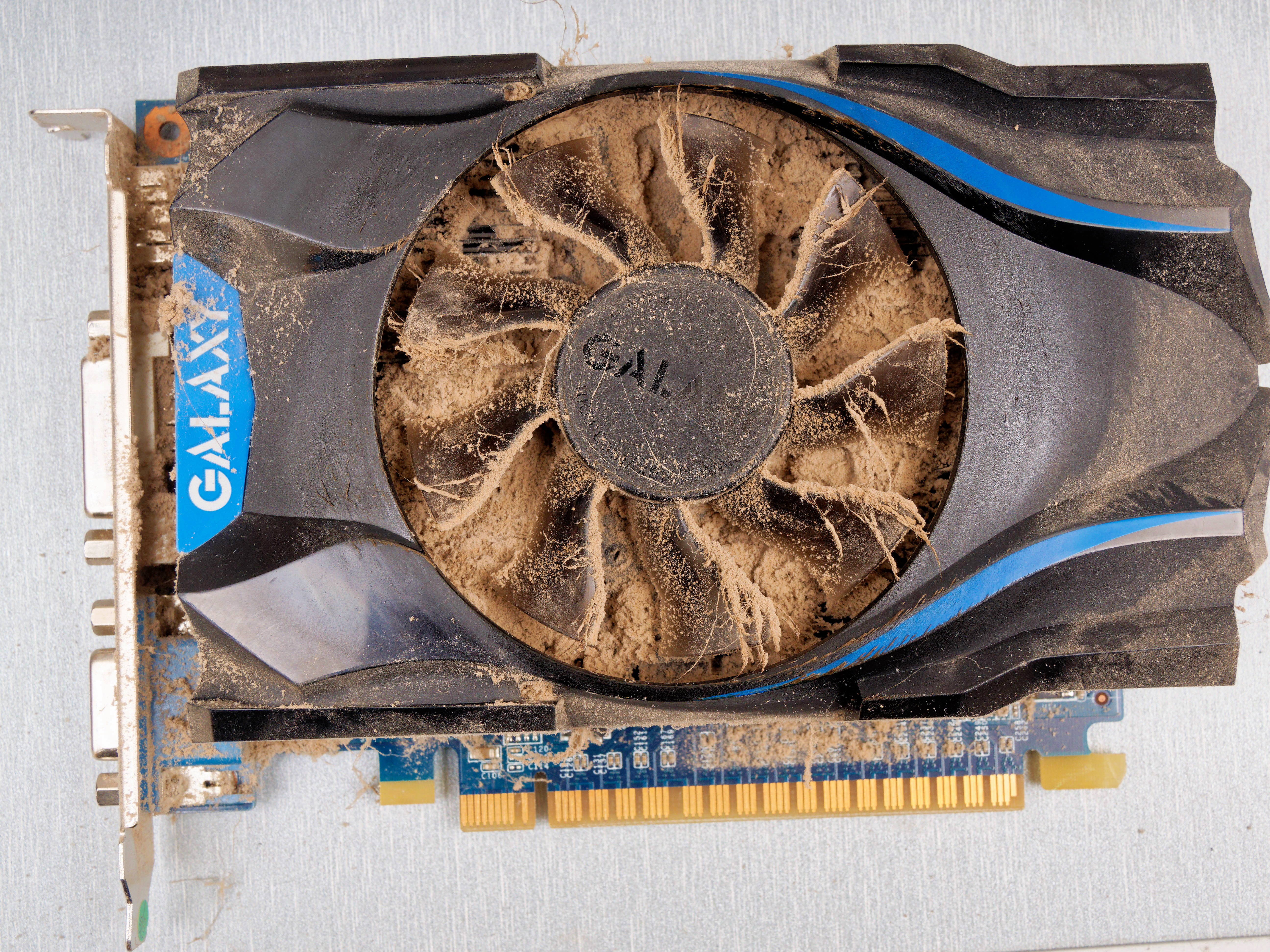 https://lemis.nyc3.digitaloceanspaces.com/grog/Photos/20250919/big/Dusty-display-card-1.jpeg