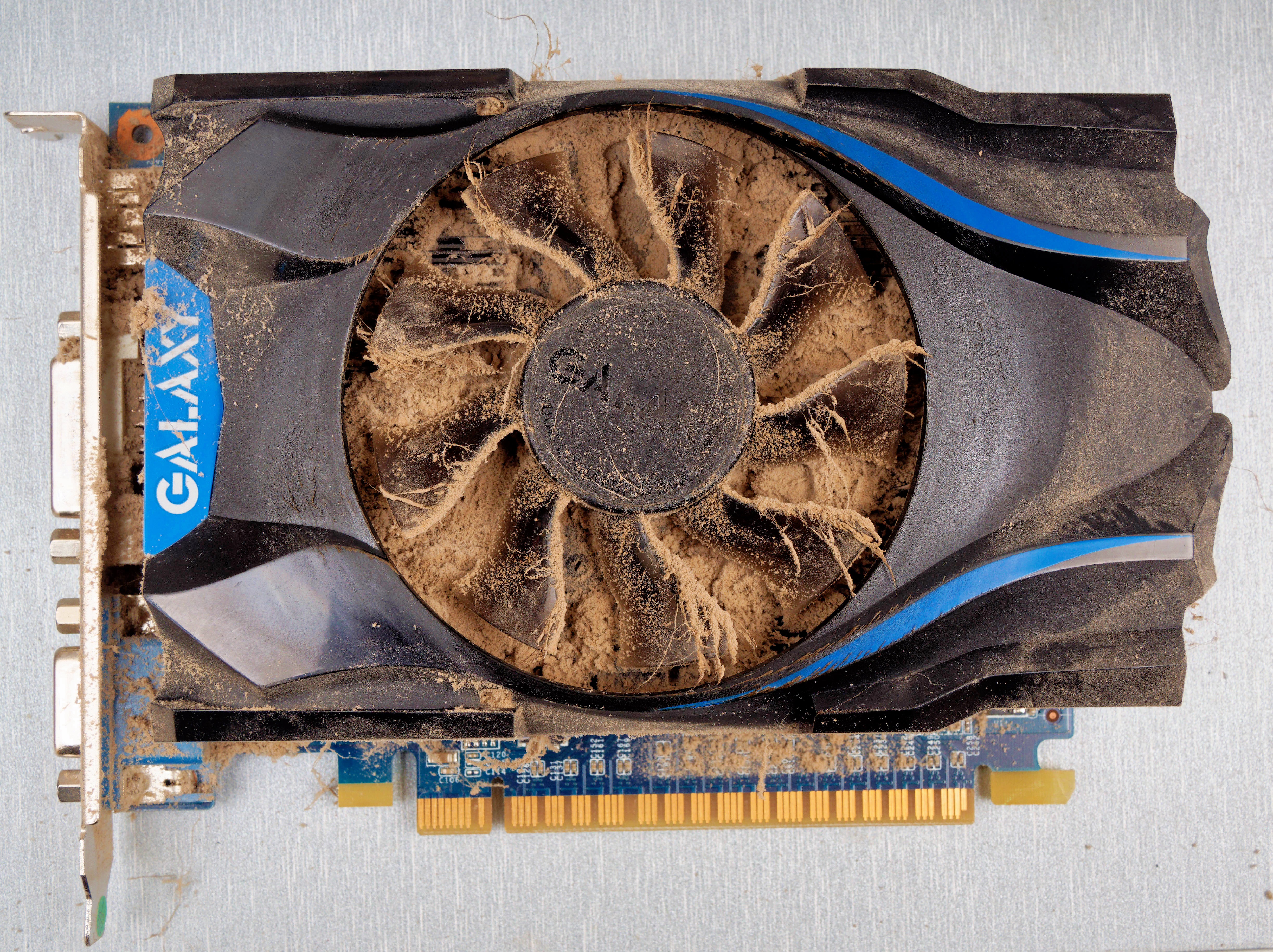 https://lemis.nyc3.digitaloceanspaces.com/grog/Photos/20250919/big/Dusty-display-card-2.jpeg