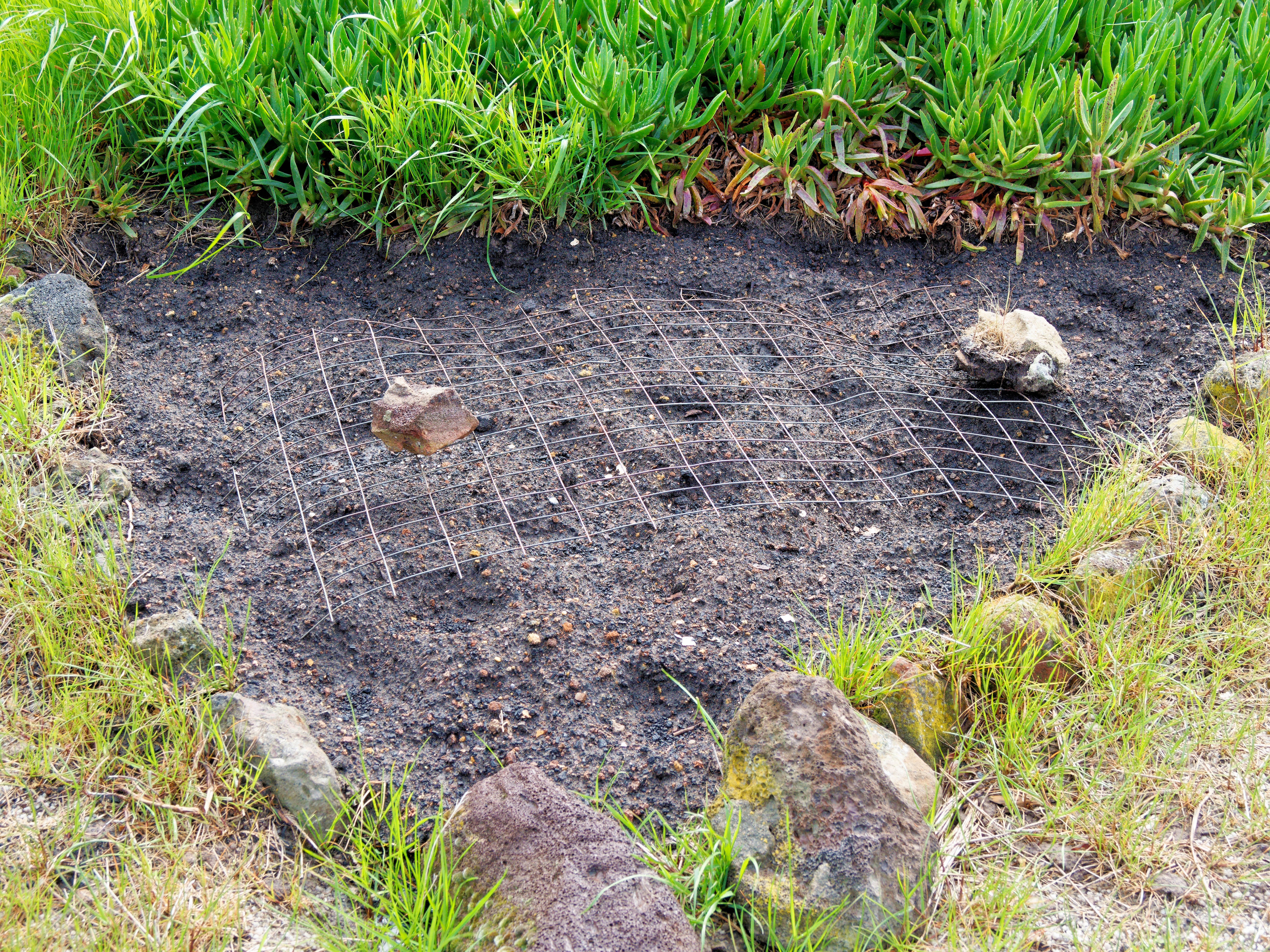 This should be Planting-flowers-1.jpeg.  Is it missing?
