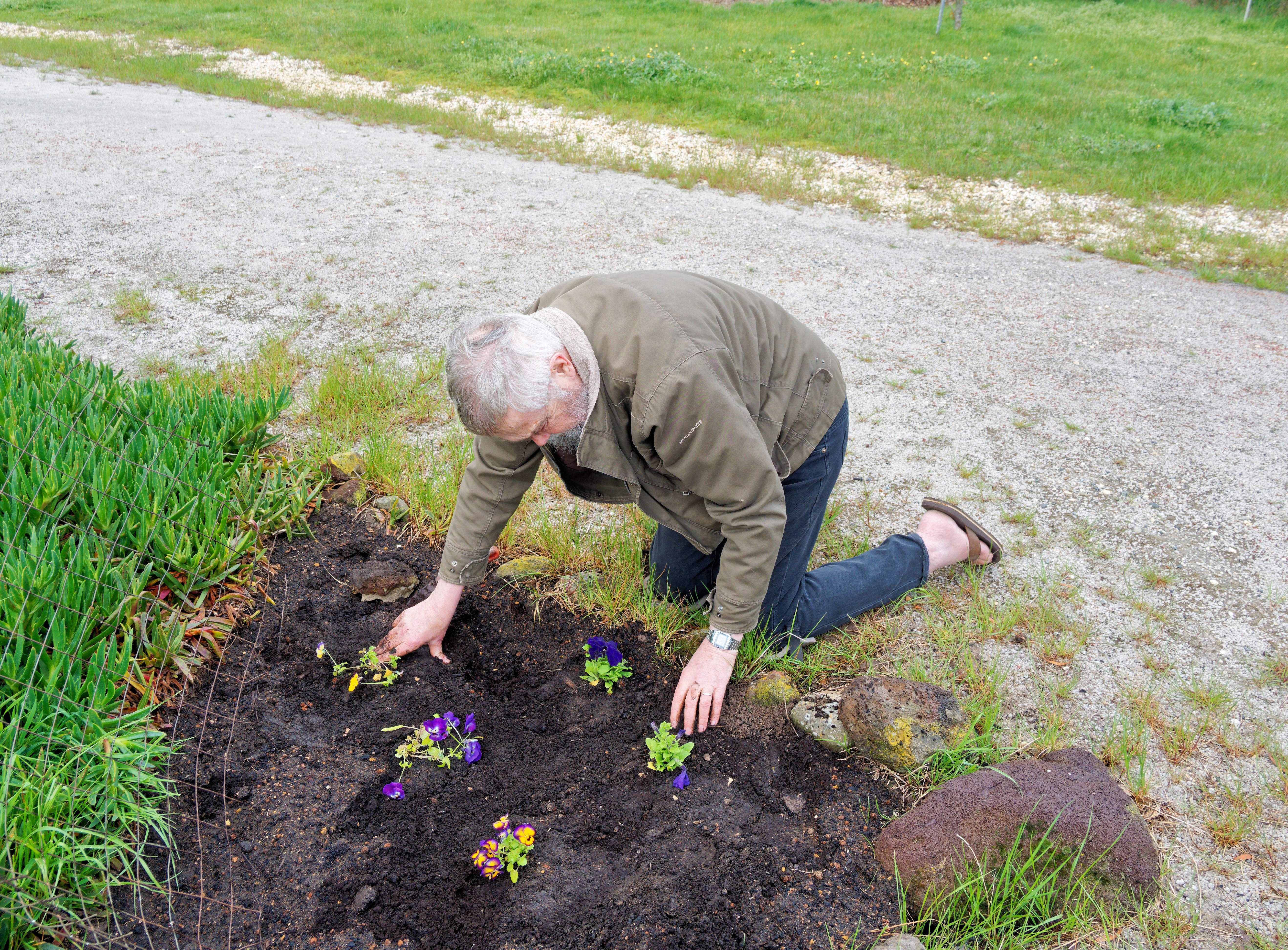 https://lemis.nyc3.digitaloceanspaces.com/grog/Photos/20251002/big/Planting-flowers-2.jpeg