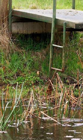 This should be Rainfall-detail.jpeg.  Is it missing?