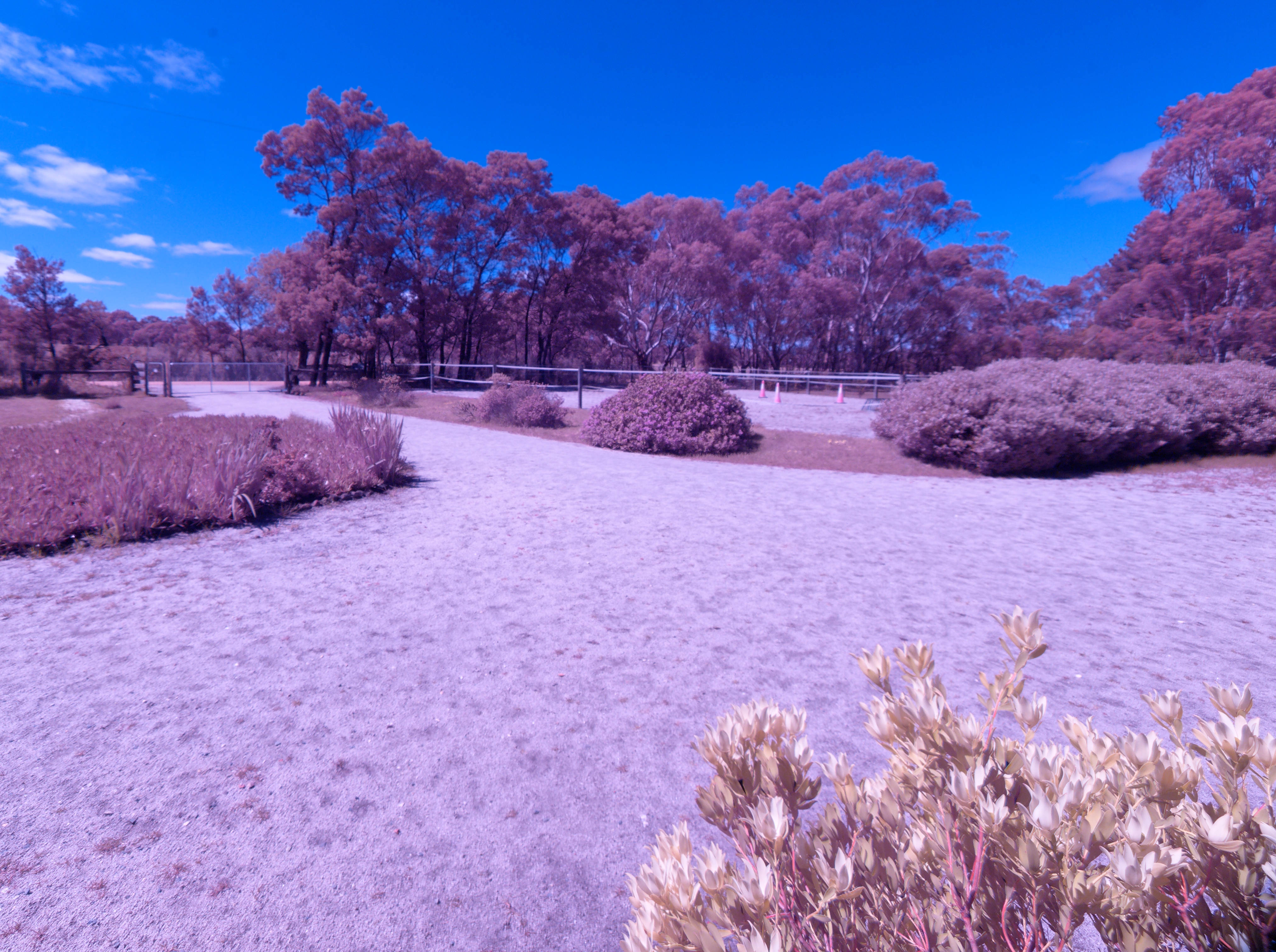 https://lemis.nyc3.digitaloceanspaces.com/grog/Photos/20251013/big/Infrared-experiment-2.jpeg