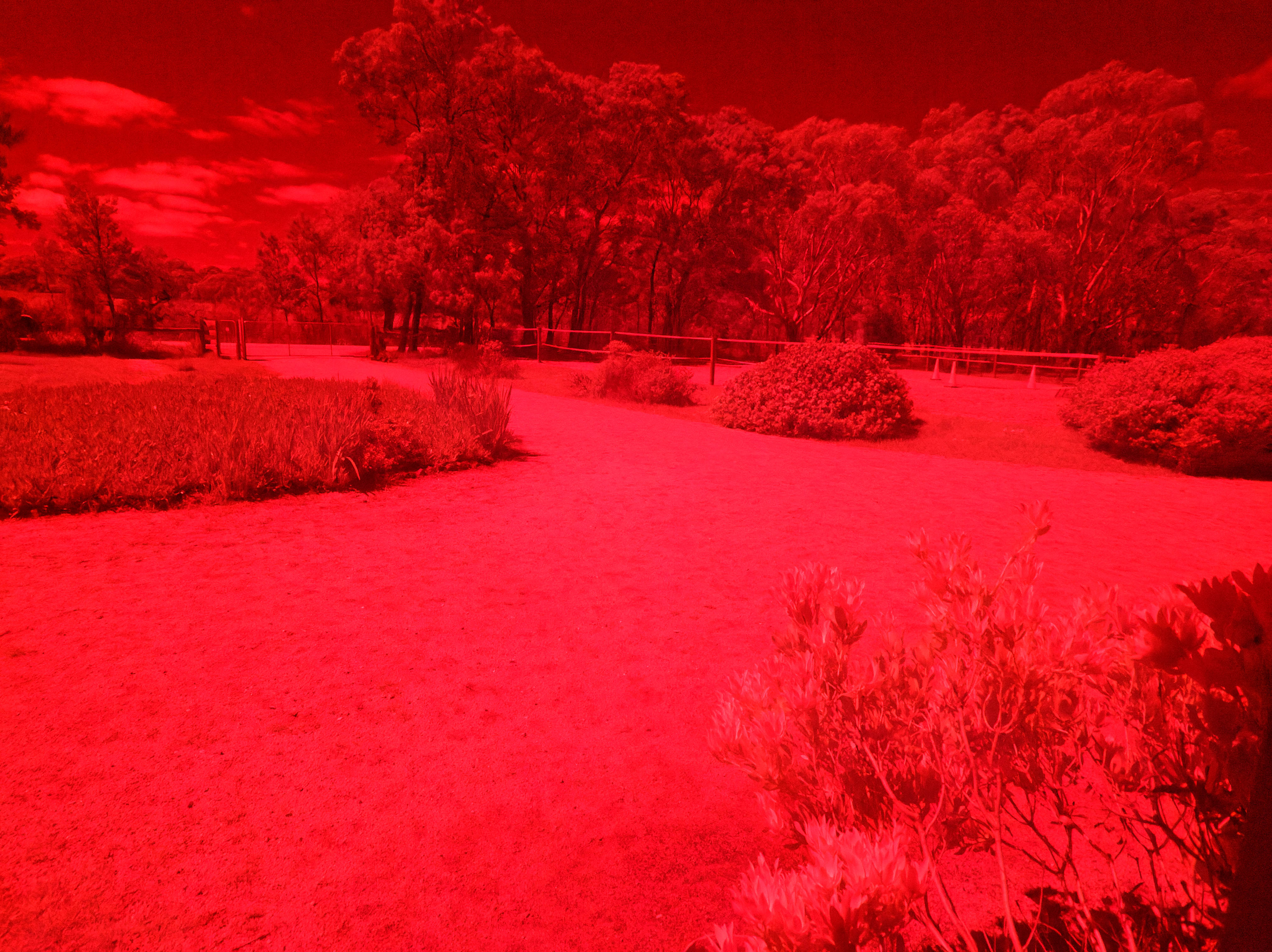 https://lemis.nyc3.digitaloceanspaces.com/grog/Photos/20251013/big/Infrared-experiment-3.jpeg