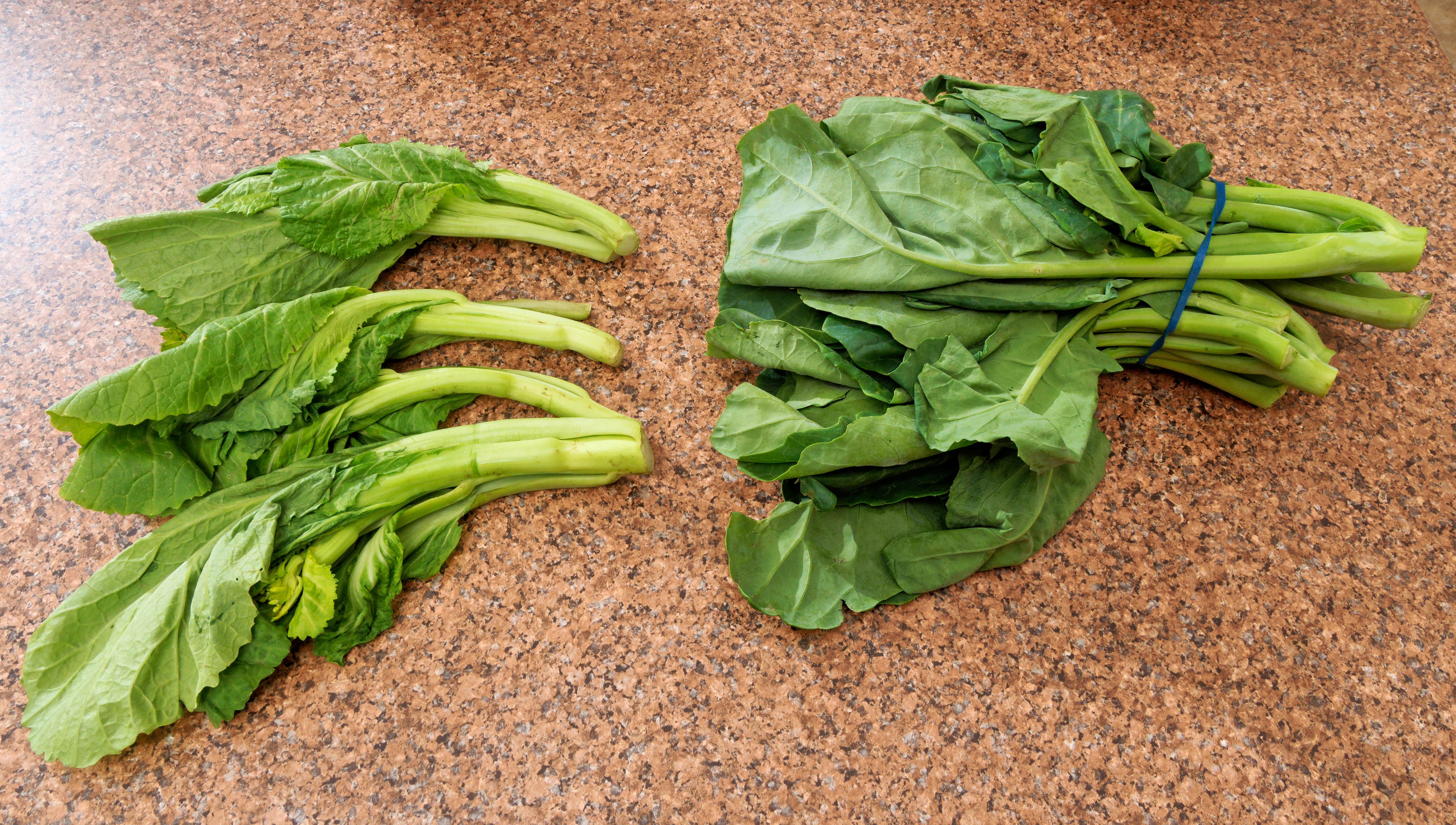 Photo Chinese-brassica-1.jpeg.  Click to redisplay small version of image. https://lemis.nyc3.digitaloceanspaces.com/grog/Photos/20251016/big/Chinese-brassica-1.jpeg