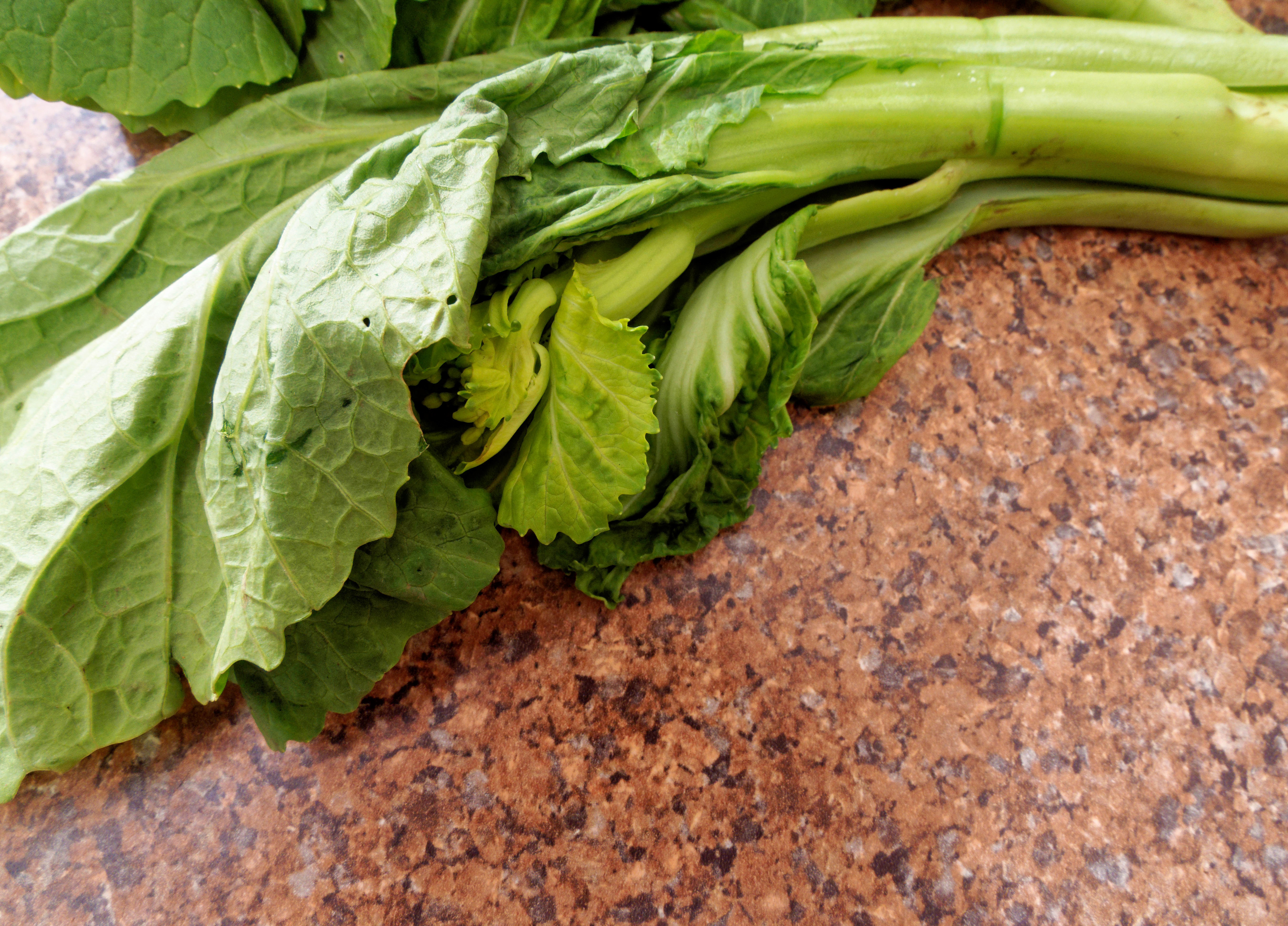 Photo Chinese-brassica-2.jpeg.  Click to redisplay small version of image. https://lemis.nyc3.digitaloceanspaces.com/grog/Photos/20251016/big/Chinese-brassica-2.jpeg