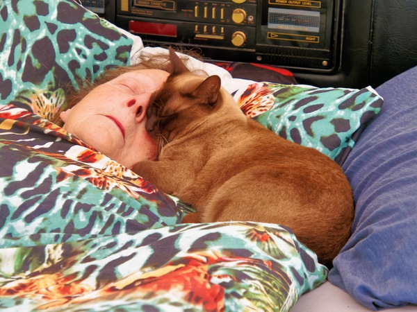 https://lemis.nyc3.digitaloceanspaces.com/grog/Photos/20260212/small/Yvonne-and-Bruno-2.jpeg