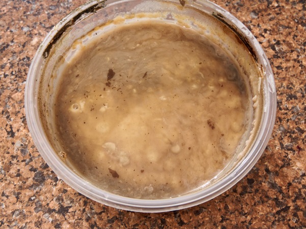 https://lemis.nyc3.digitaloceanspaces.com/grog/Photos/20260218/small/Sourdough-2.jpeg
