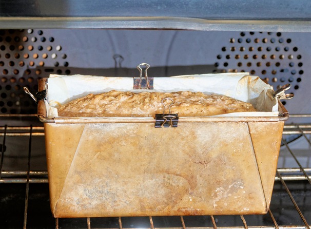 https://lemis.nyc3.digitaloceanspaces.com/grog/Photos/20260220/small/Stuck-sourdough-3.jpeg
