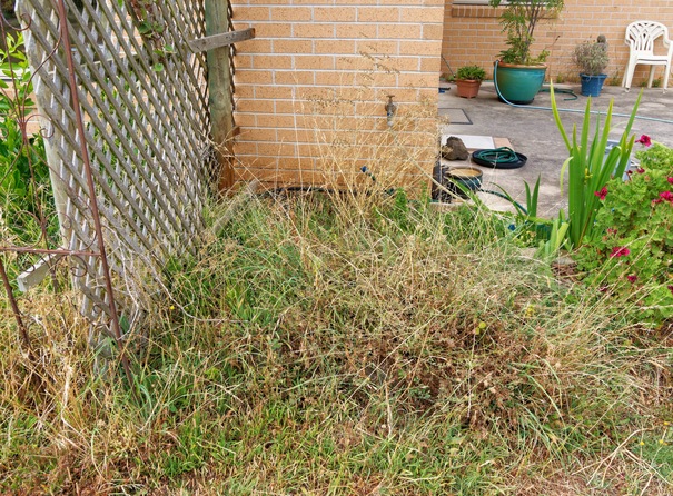 https://lemis.nyc3.digitaloceanspaces.com/grog/Photos/20260221/small/Herb-bed.jpeg