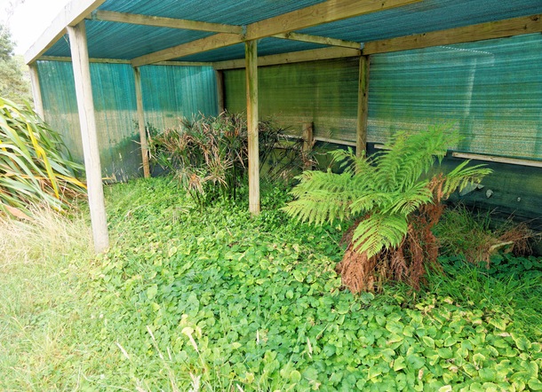 https://lemis.nyc3.digitaloceanspaces.com/grog/Photos/20260221/small/Shade-area.jpeg