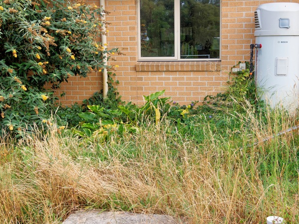 https://lemis.nyc3.digitaloceanspaces.com/grog/Photos/20260221/small/South-garden.jpeg