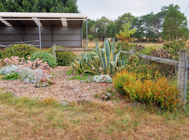 https://lemis.nyc3.digitaloceanspaces.com/grog/Photos/20260221/small/Succulents-1.jpeg
