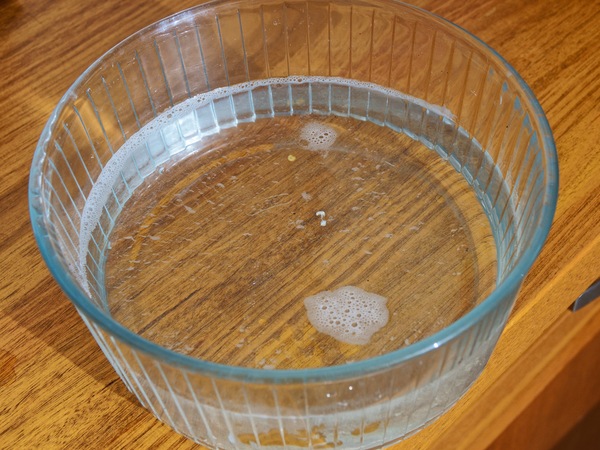 https://lemis.nyc3.digitaloceanspaces.com/grog/Photos/20260228/small/Cleaning-coffee-machine-5.jpeg