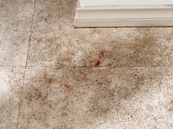 https://lemis.nyc3.digitaloceanspaces.com/grog/Photos/20260228/small/Mouse-remains-3.jpeg