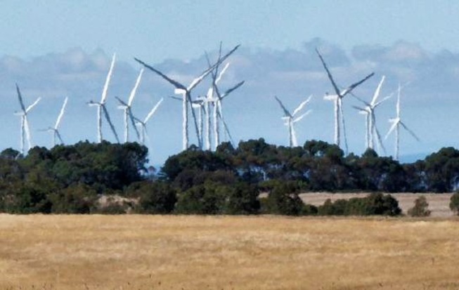 https://lemis.nyc3.digitaloceanspaces.com/grog/Photos/20260305/small/Wind-farm-detail.jpeg