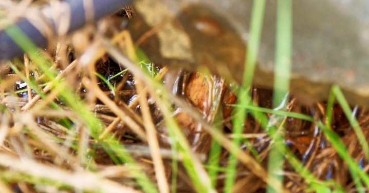 https://lemis.nyc3.digitaloceanspaces.com/grog/Photos/20260323/small/Leaking-bore-pump-3-detail.jpeg
