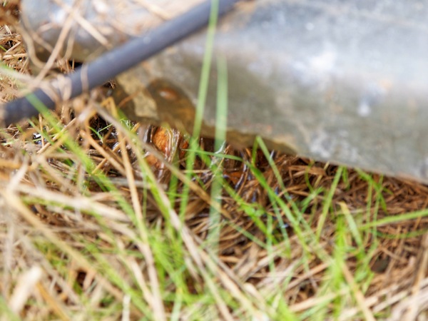 https://lemis.nyc3.digitaloceanspaces.com/grog/Photos/20260323/small/Leaking-bore-pump-3.jpeg