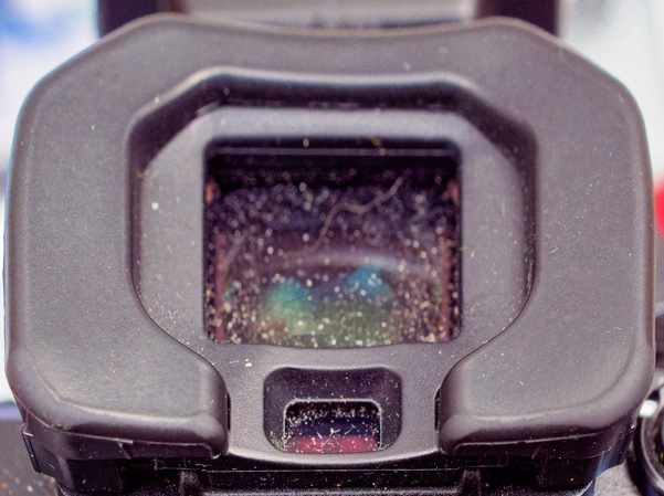 https://lemis.nyc3.digitaloceanspaces.com/grog/Photos/20260401/small/OM-1-viewfinder-1.jpeg