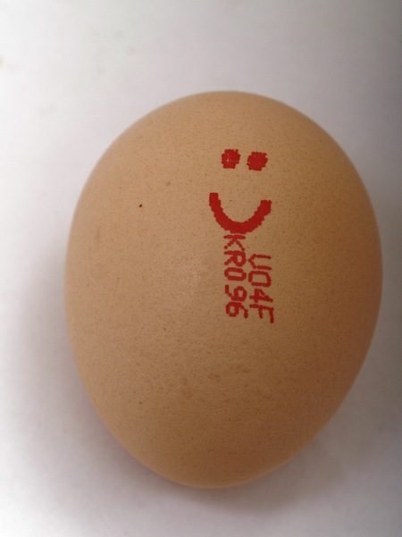 https://lemis.nyc3.digitaloceanspaces.com/grog/Photos/20260417/small/Happy-egg.jpeg