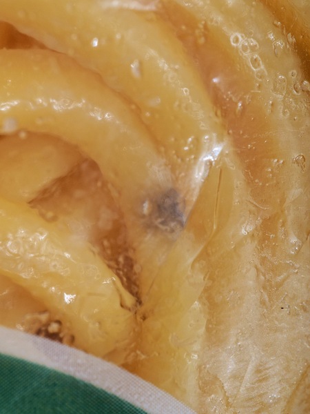https://lemis.nyc3.digitaloceanspaces.com/grog/Photos/20260417/small/Mouldy-noodles-5.jpeg