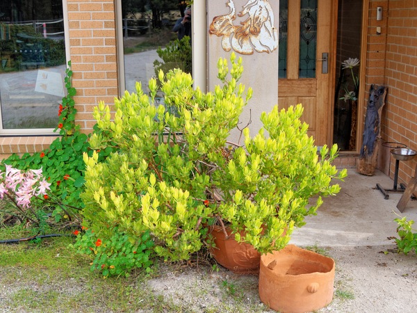 https://lemis.nyc3.digitaloceanspaces.com/grog/Photos/20260422/small/House-entrance-2.jpeg