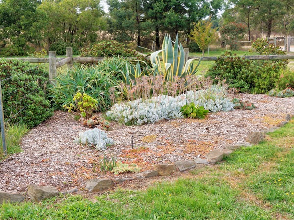https://lemis.nyc3.digitaloceanspaces.com/grog/Photos/20260422/small/Succulent-garden.jpeg