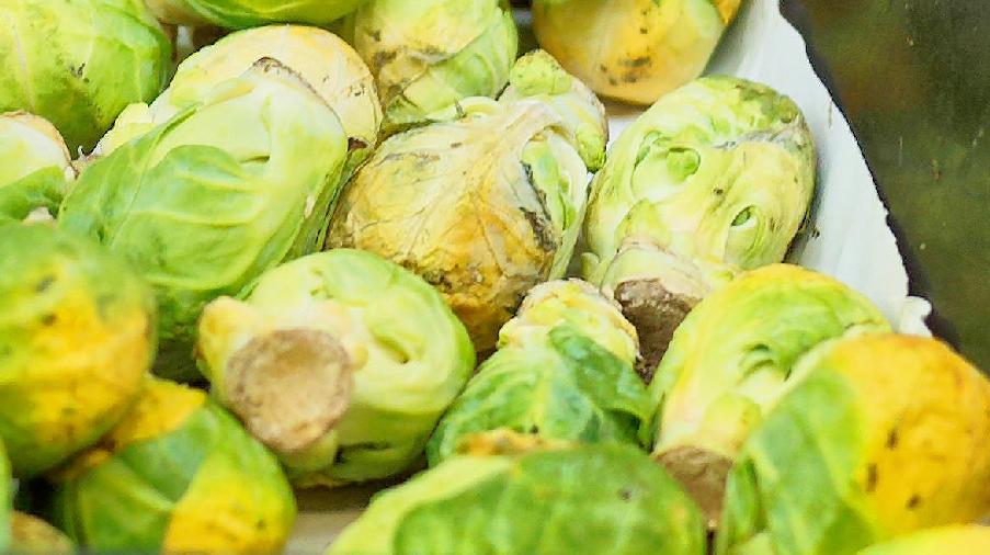 https://lemis.nyc3.digitaloceanspaces.com/grog/Photos/20260515/big/Fruit-shack-sprouts-detail-2.jpeg