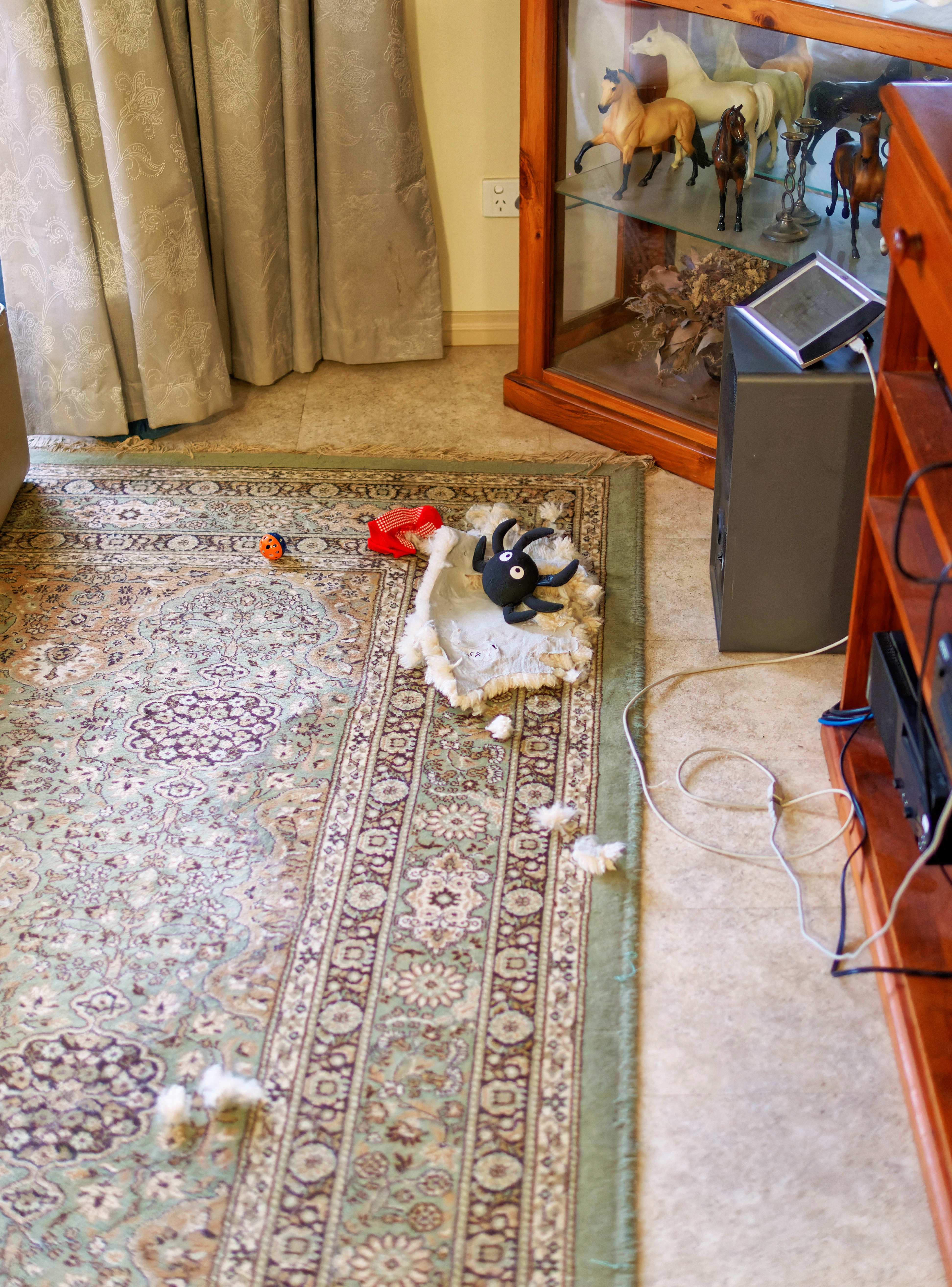 https://lemis.nyc3.digitaloceanspaces.com/grog/Photos/20260604/big/Cat-destruction-1.jpeg