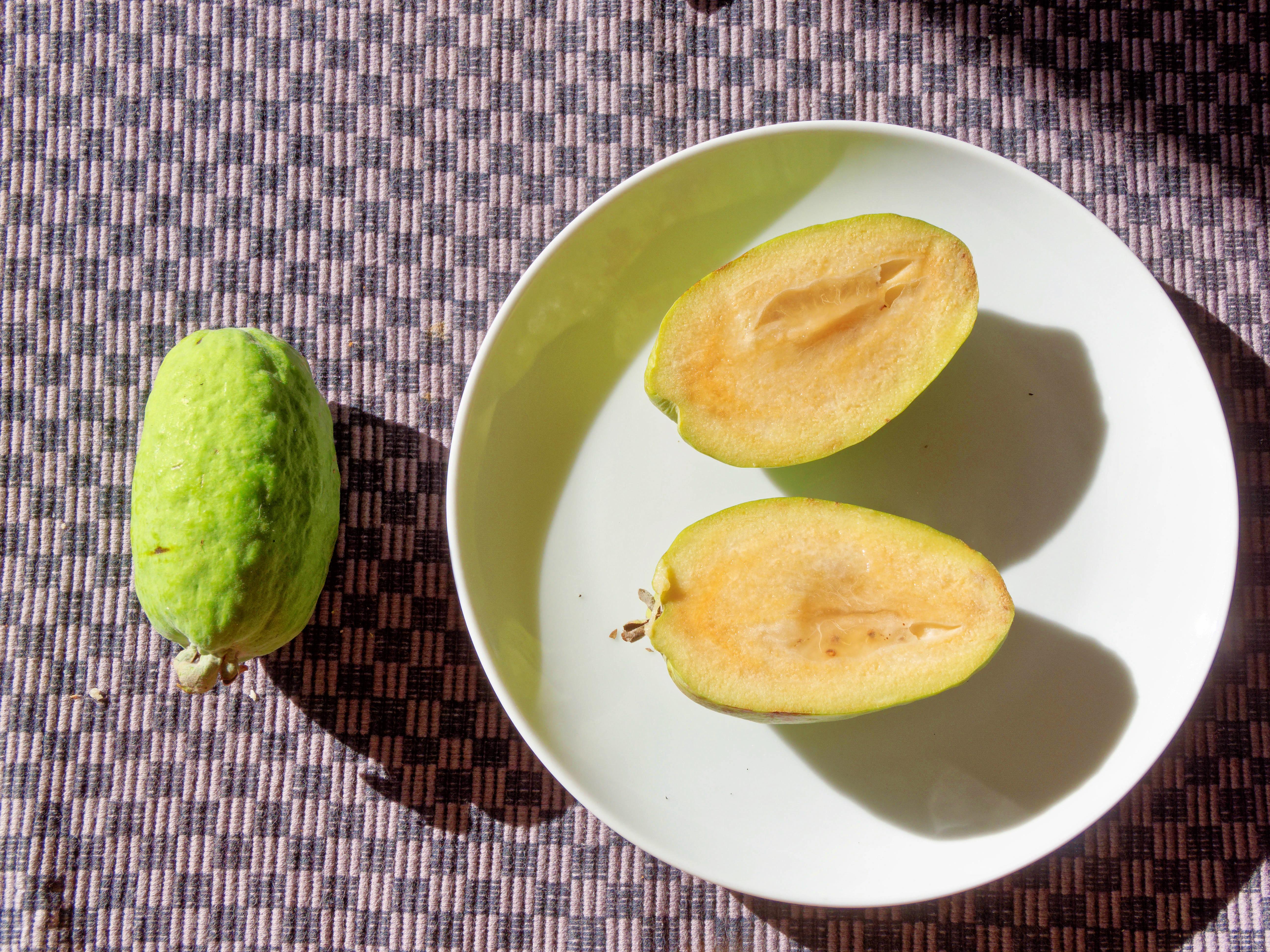 https://lemis.nyc3.digitaloceanspaces.com/grog/Photos/20260611/big/Feijoa-1.jpeg