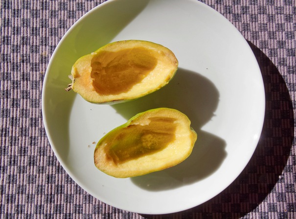 https://lemis.nyc3.digitaloceanspaces.com/grog/Photos/20260611/small/Feijoa-2.jpeg