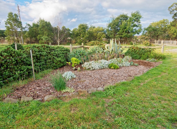 https://lemis.nyc3.digitaloceanspaces.com/grog/Photos/20260622/small/Succulent-bed.jpeg