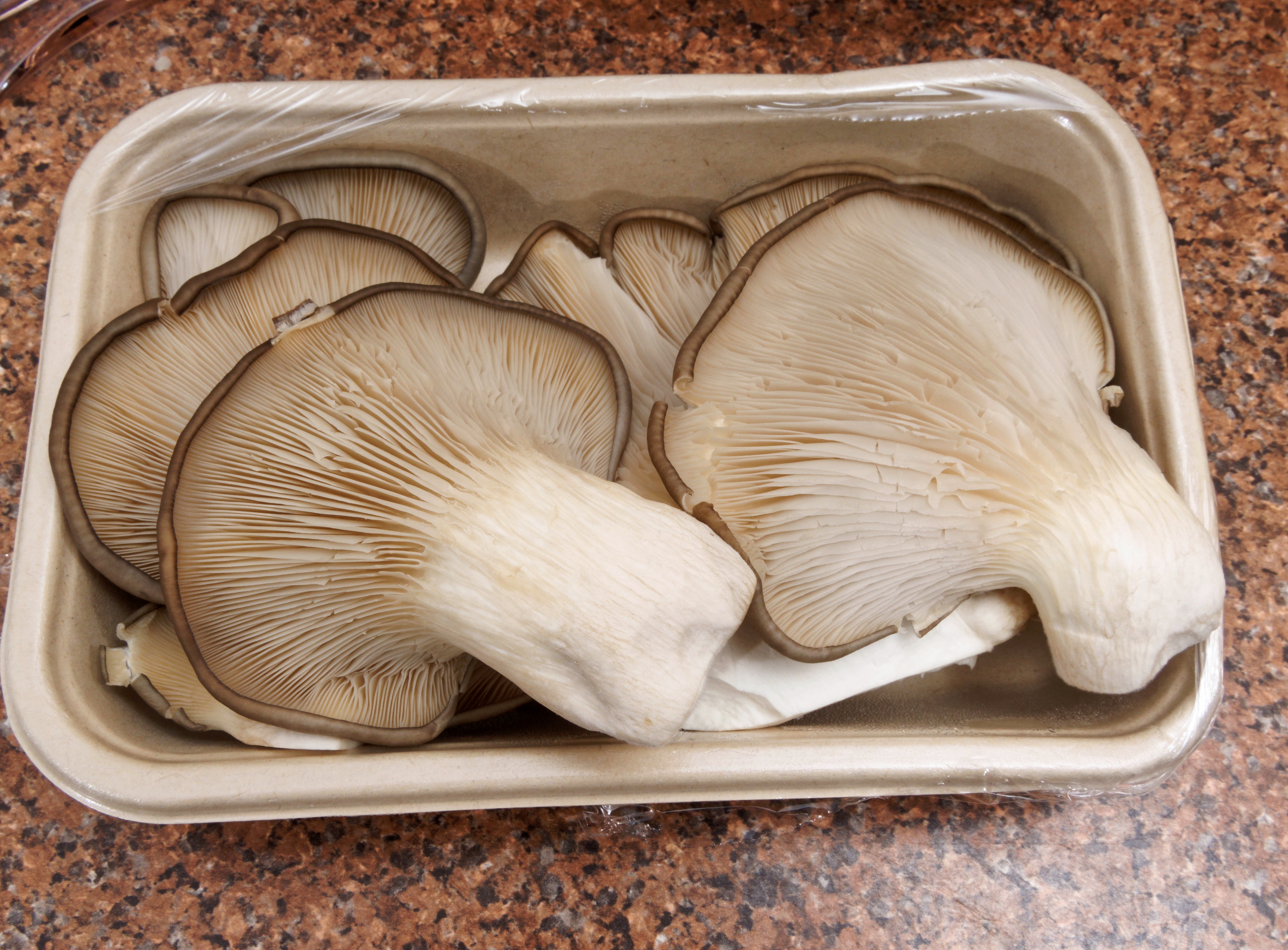 https://lemis.nyc3.digitaloceanspaces.com/grog/Photos/20260626/big/Oyster-mushrooms-3.jpeg
