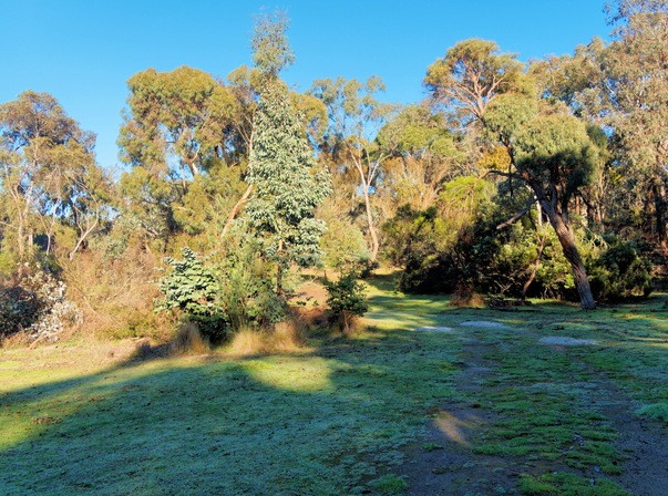 https://lemis.nyc3.digitaloceanspaces.com/grog/Photos/20260626/small/Clarkesdale-bird-sanctuary-10.jpeg