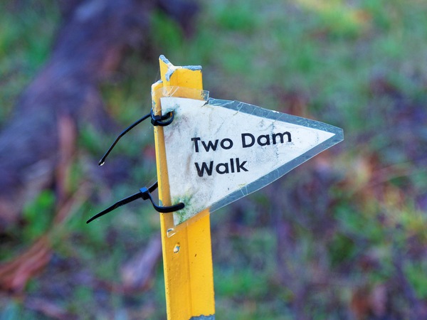 https://lemis.nyc3.digitaloceanspaces.com/grog/Photos/20260626/small/Clarkesdale-bird-sanctuary-7.jpeg