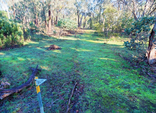 https://lemis.nyc3.digitaloceanspaces.com/grog/Photos/20260626/small/Clarkesdale-bird-sanctuary-8.jpeg