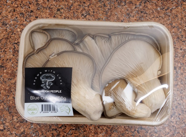 https://lemis.nyc3.digitaloceanspaces.com/grog/Photos/20260626/small/Oyster-mushrooms-1.jpeg