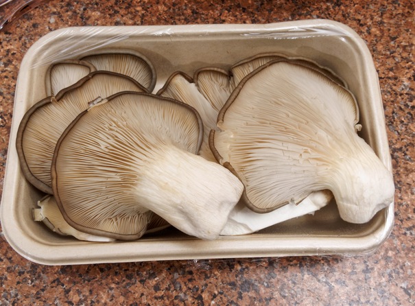 https://lemis.nyc3.digitaloceanspaces.com/grog/Photos/20260626/small/Oyster-mushrooms-3.jpeg